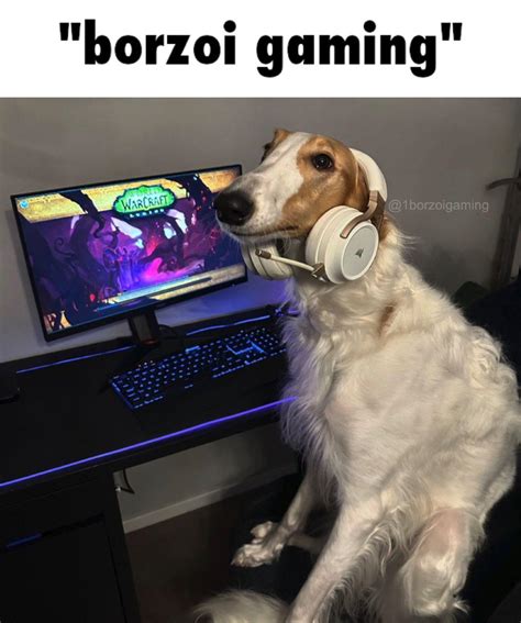 This Is Literally Me If You Even Care R691
