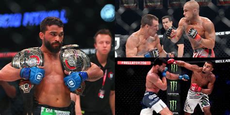 10 Best Welterweights In Mma History Wild News