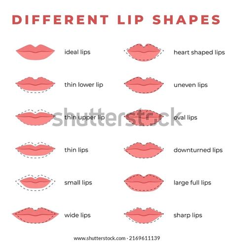 Lips Shape Chart: Over 172 Royalty-Free Licensable Stock Illustrations ...