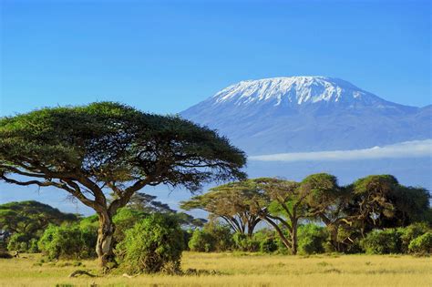 Kilimanjaro Wallpapers - Top Free Kilimanjaro Backgrounds - WallpaperAccess