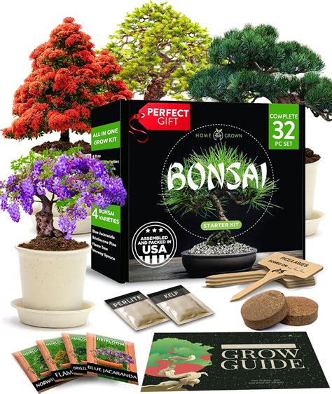 Bonsai Tree Kit Premium Starter Review Japanese Garden Craft