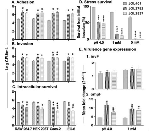 In Vitro Assessment Of Adhesion Invasion Intracellular Survival And