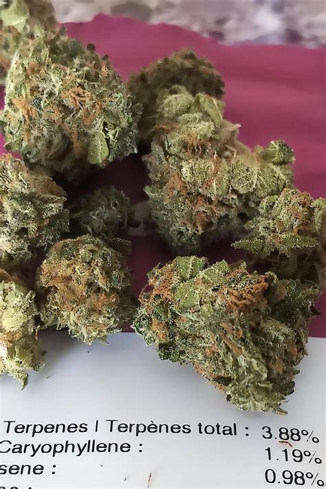 Good Supply Growers Choice Indica Unboxing Review 28g 20 1