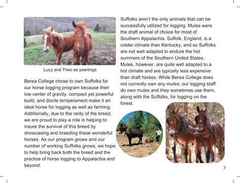 Horse Logging Bc Forestry Outreach Center