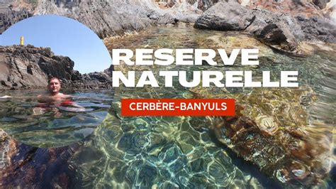 Réserve naturelle marine de Cerbère Banyuls YouTube