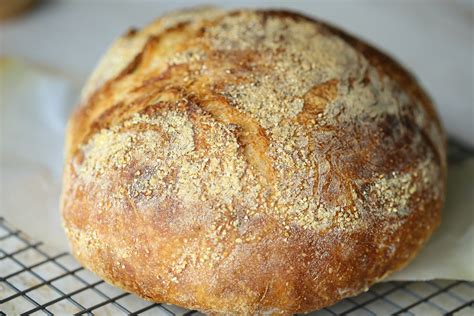 No Knead Bread Streamlined Jim Lahey And Mark Bittman Ever Open Sauce