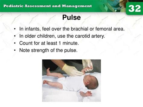 Ppt 32 Pediatric Assessment And Management Powerpoint Presentation