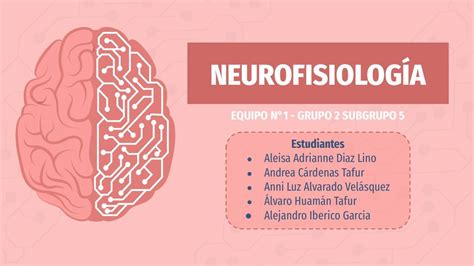 Neurofisiología Neurotransmisores Neurofisiología Udocz