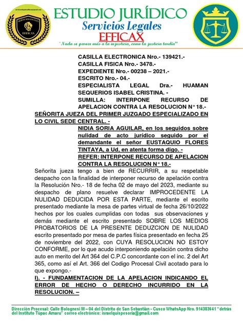 Interpone Recurso De Apelacion Civil Pdf Apelación Demanda Judicial