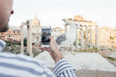 Forum Photos, Download The BEST Free Forum Stock Photos & HD Images