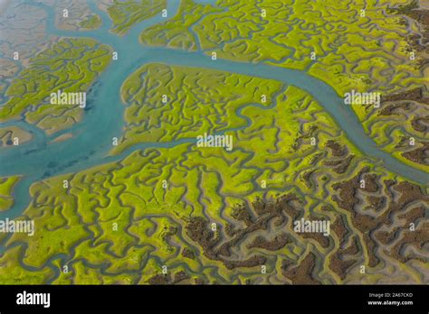 Aerial View On Marshlands Bahia De Cadiz Natural Park Costa De La Luz