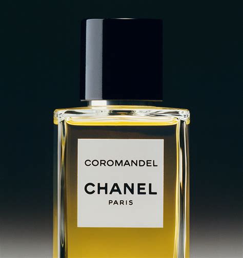 Bleu De Chanel Parfum Nocibe | asoundsunlimited.com