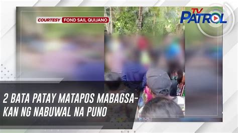 Bata Patay Matapos Mabagsakan Ng Nabuwal Na Puno Tv Patrol Youtube