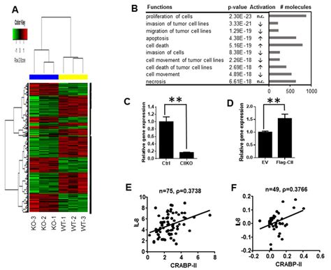 Down Regulation Of Il In Crabp Ii Knockout Cells A Heat Map Of Gene