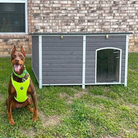 Premium Extra-Large Wooden Dog House: Waterproof, Insulated, and ...