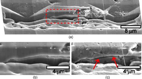 Sem Images Of The ‘polished Section Of A Stepped Trench In A 40 ␮ M