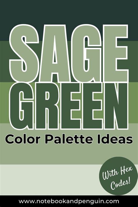 7 Beautiful Sage Green Color Palettes Hex Codes Included In 2024