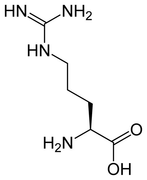 File:L-arginine-2D-skeletal.png - Wikimedia Commons