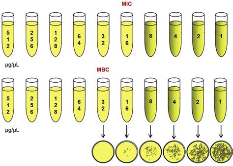 Minimum Inhibitory Concentration MIC Versus Minimum Bactericidal