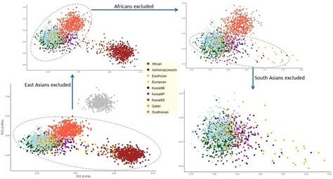 Two Dimensional Principal Component Analysis Pca Plots Showing The