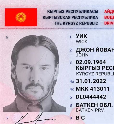 Owl Psd High Quality Fake Template Kyrgyzstan Driver License