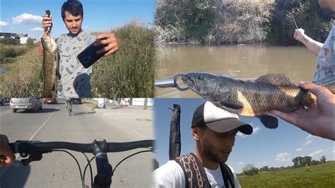 Pesca de tarariras con señuelo mojarriando pesca y aventura YouTube