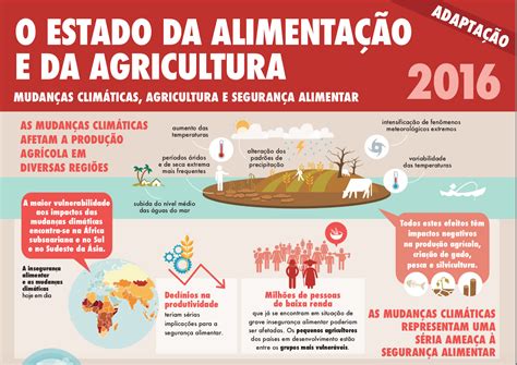 Infografia Mudan As Clim Ticas Agricultura E Seguran A Alimentar