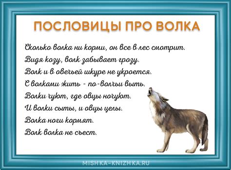 Пословицы и поговорки про волка| Значение и смысл пословиц | Мишкины книжки