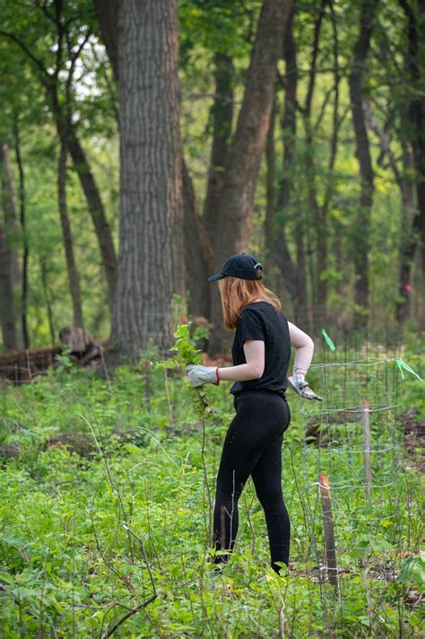 Weed Workday At Lake View Hill Pulling Garlic Mustard At L Flickr