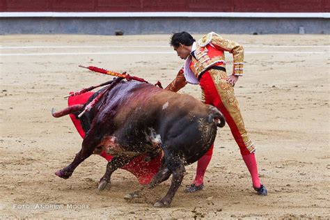 Del Toro Al Infinito 11ª De San Isidro SuspensiÓn Por Cogida De Los