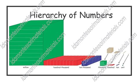 Hierarchy Of Numbers Poster