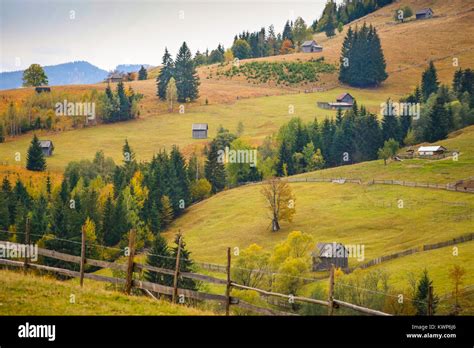 Autumn Scenery Landscape With Colorful Forest Wood Fence And Hay Barns