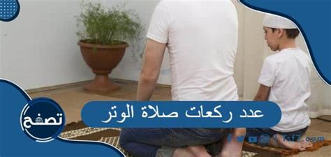 عدد ركعات صلاة الوتر ، ما أهي أفضل أوقات صلاة الوتر موقع تصفح