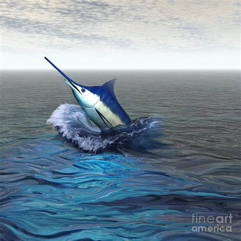 Blue Marlin Painting at PaintingValley.com | Explore collection of Blue ...