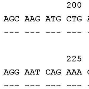 Alignment Of The Sequence Of Exon 4 Of HLADRB3 03 37 With The Sequence