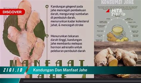 Temukan Manfaat Jahe Yang Jarang Diketahui