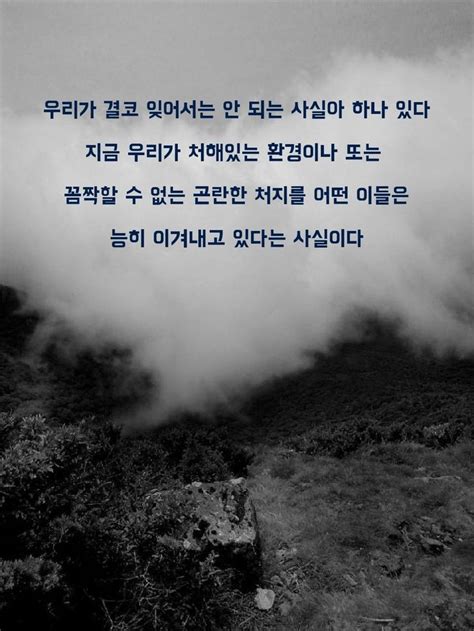 명언에 있는 Yzc 님의 핀 영감을 주는 인용구 영감 인용구 명언