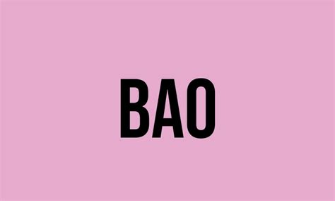 What Does Bao Mean? - Meaning, Uses and More - FluentSlang
