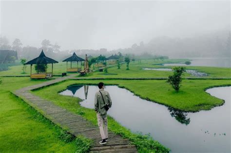 Lepaskan Penat Di Agrowisata Kopi Rawa Gede Bogor Tempat Healing Sejuk