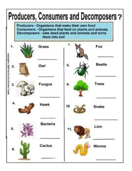 Food Chain: Producer, Consumer and Decomposer- Cut and Paste or Just Plain Label