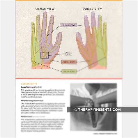 Median Nerve Injuries Adult And Pediatric Printable Resources For Speech And Occupational