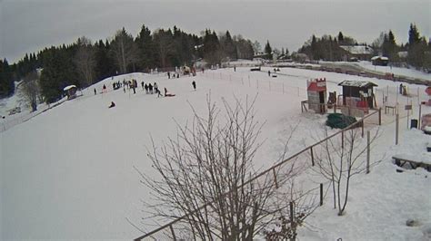 Neve E Temperature In Picchiata Nuove Piste Da Sci Aperte In Friuli