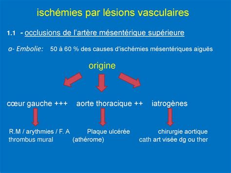 Ischémies intestinales aigues infarctus mésentérique ppt télécharger