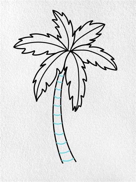 How To Draw A Palm Tree Step By Step