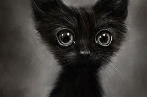 Черный котенок. Рассказ.