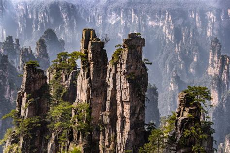 Zhangjiajie National Forest Park Official GANP Park Page