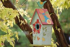 When To Put Up Bird Houses The Bird Nesting Season