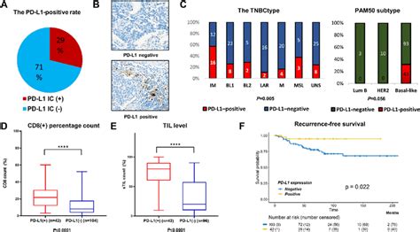 Clinical And Pathological Characteristics Of Sp142 Pd L1 Positive Tnbc