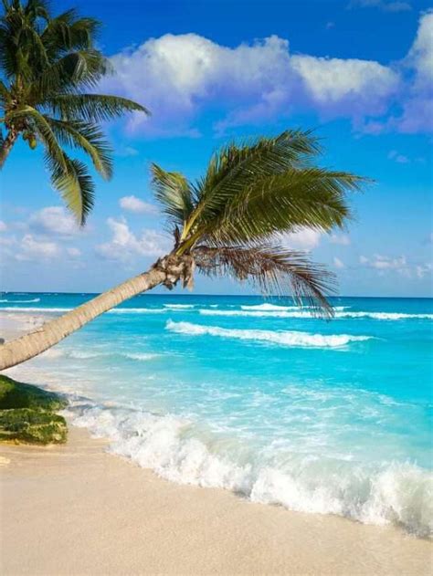 important riviera maya safety tips viva la travelista