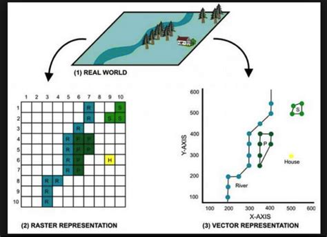 What Are Raster And Vector Data In GIS And When To Use Geographic